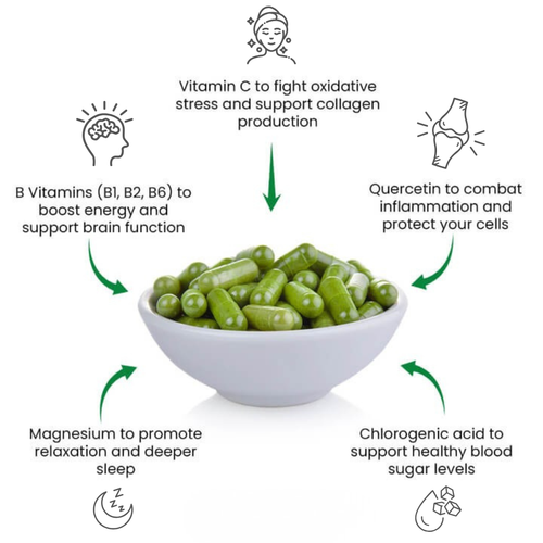 Moringa-Kapseln (800 mg)
